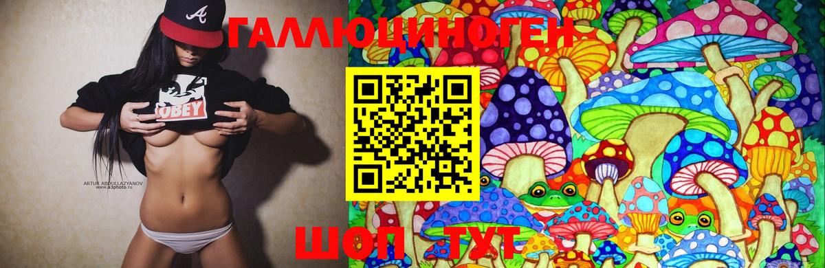 Псилоцибиновые грибы Psilocybine cubensis  Вход с VPN  Вышний Волочёк 